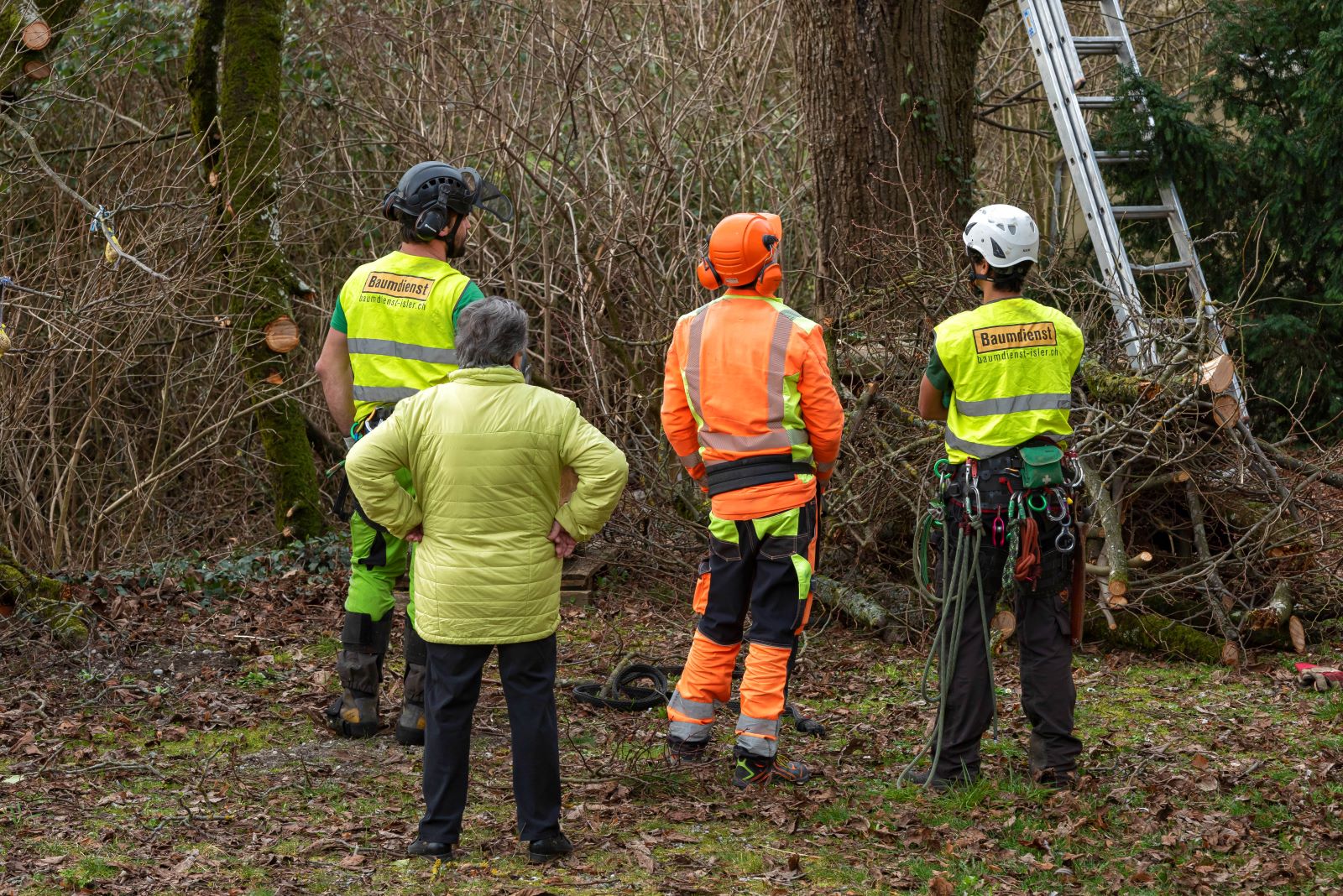 bild von baumdienst-isler am arbeiten