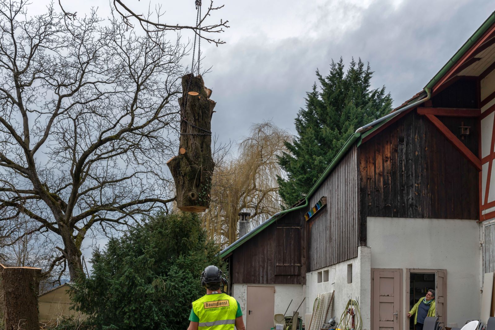 bild von baumdienst-isler am arbeiten in Wohlen