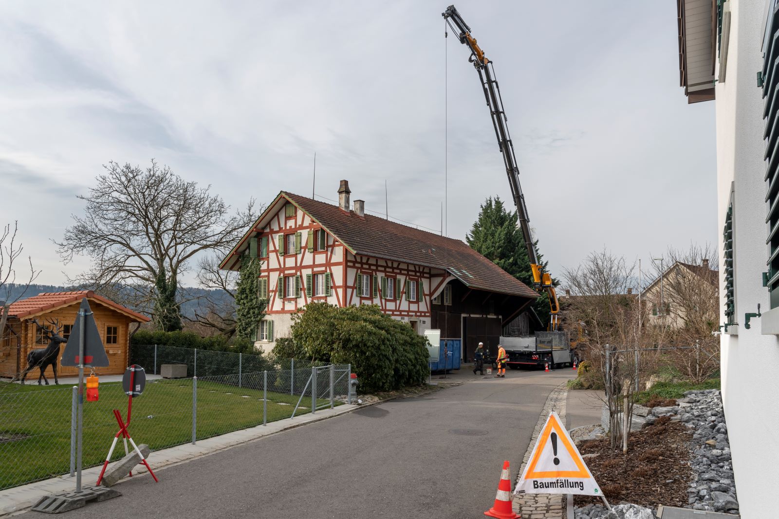 bild von baumdienst-isler am arbeiten